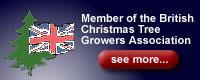 British Christmas Tree Growers Association