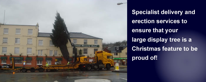 Tree erection services